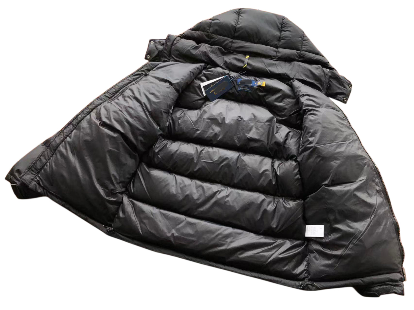 Mens Black/Blue Jacket - Polo